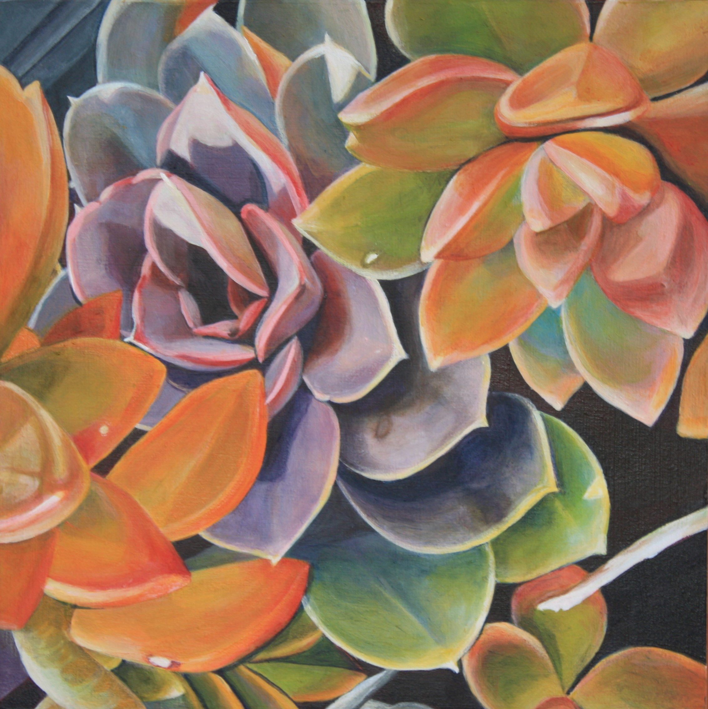 Opening Reception – Tara Esperanza: Close to Home